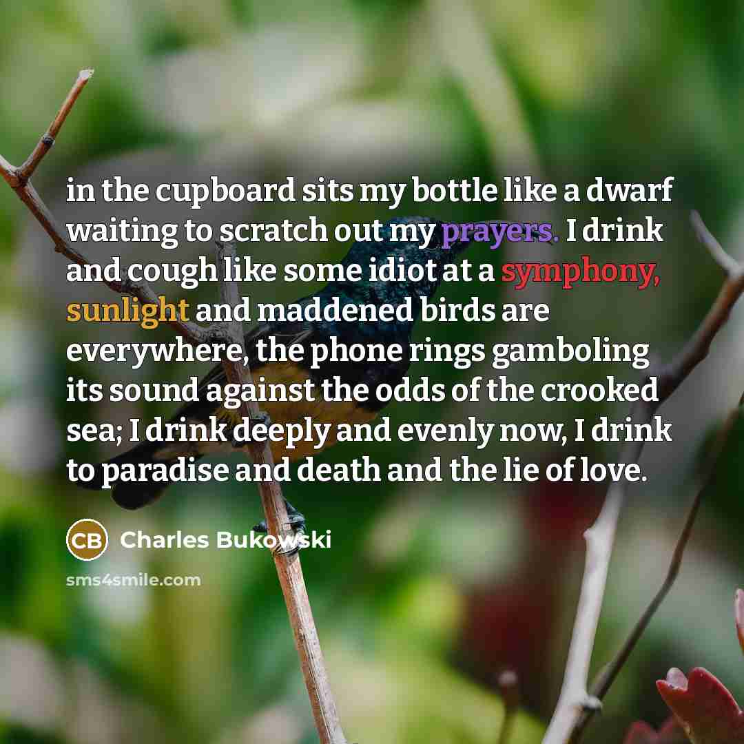 “in the cupboard sits my bottle like a dwarf waiting to scratch out my prayers. I drink and cough like some idiot at a symphony, sunlight and maddened birds are everywhere, the phone rings gamboling its sound against the odds of the crooked sea; I drink deeply and evenly now, I drink to paradise…” quote by Charles Bukowski