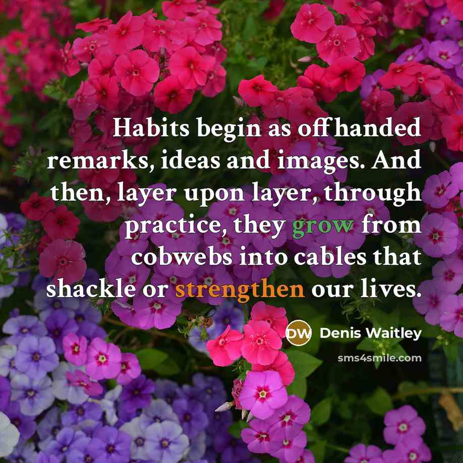 “Habits begin as offhanded remarks, ideas and images. And then, layer upon layer, through practice, they grow from cobwebs into cables that shackle or strengthen our lives.” quote by Denis Waitley