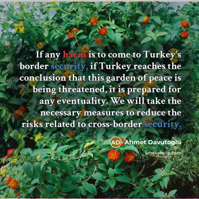 “If any harm is to come to Turkey's border security, if Turkey reaches the conclusion that this garden of peace is being threatened, it is prepared for any eventuality. We will take the necessary measures to reduce the risks related to cross-border security.” quote by Ahmet Davutoglu