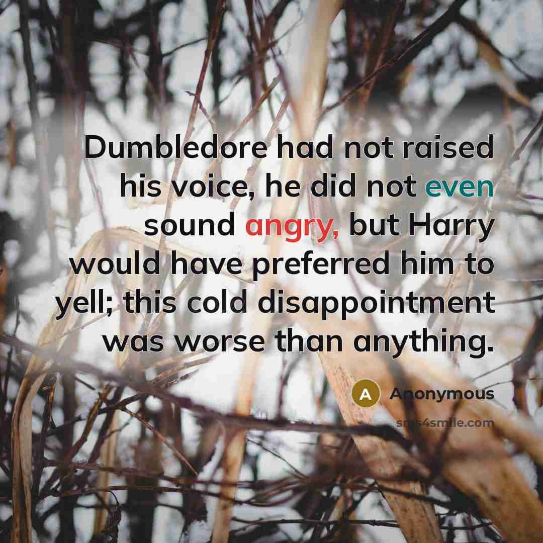 “Dumbledore had not raised his voice, he did not even sound angry, but Harry would have preferred him to yell; this cold disappointment was worse than anything.” quote by Anonymous