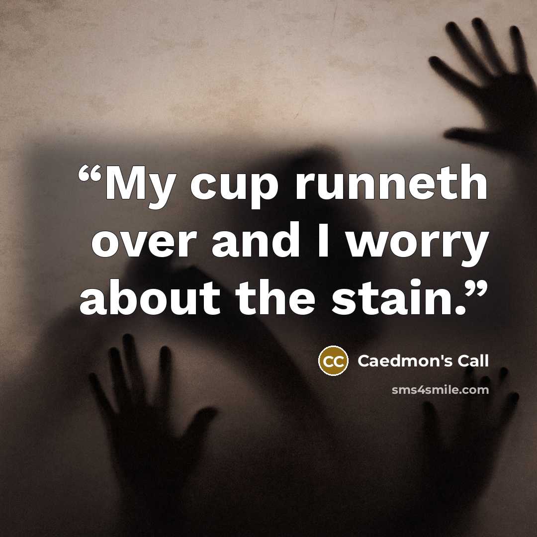 “My cup runneth over and I worry about the stain.” quote by Caedmon's Call