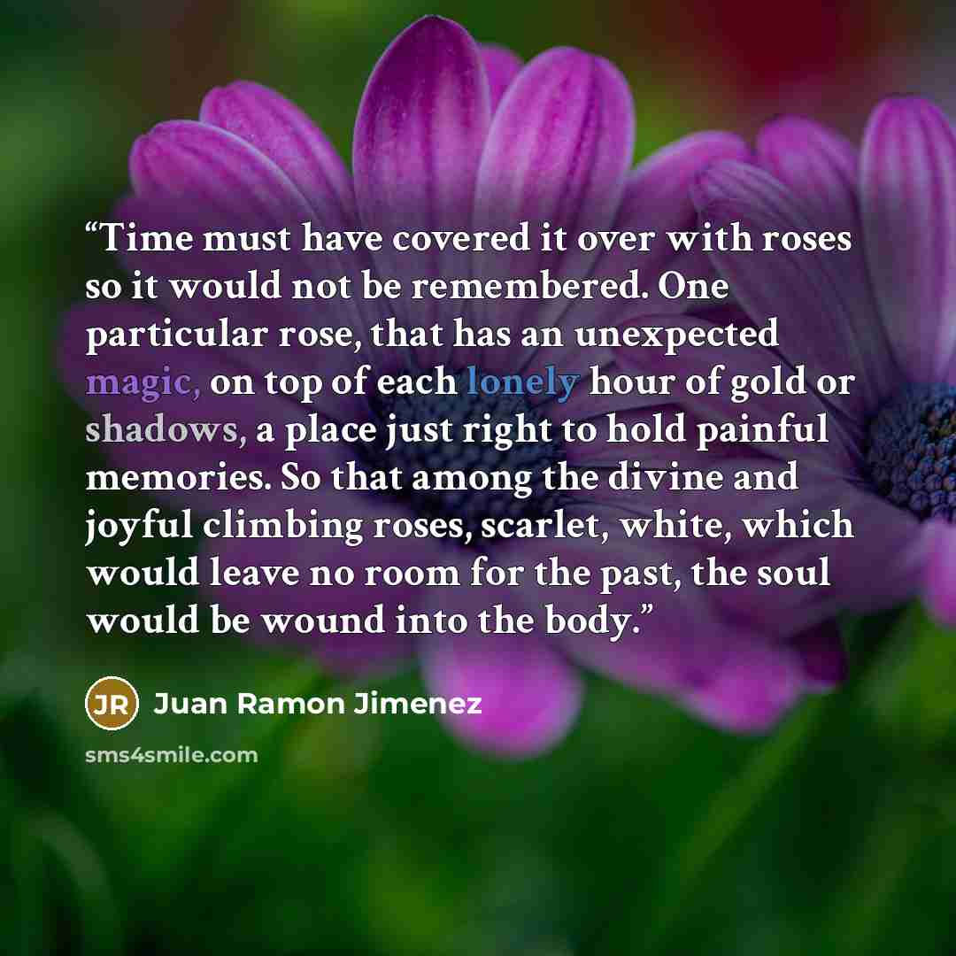 “Time must have covered it over with roses so it would not be remembered. One particular rose, that has an unexpected magic, on top of each lonely hour of gold or shadows, a place just right to hold painful memories. So that among the divine and joyful climbing roses, scarlet, white, which would…” quote by Juan Ramón Jiménez