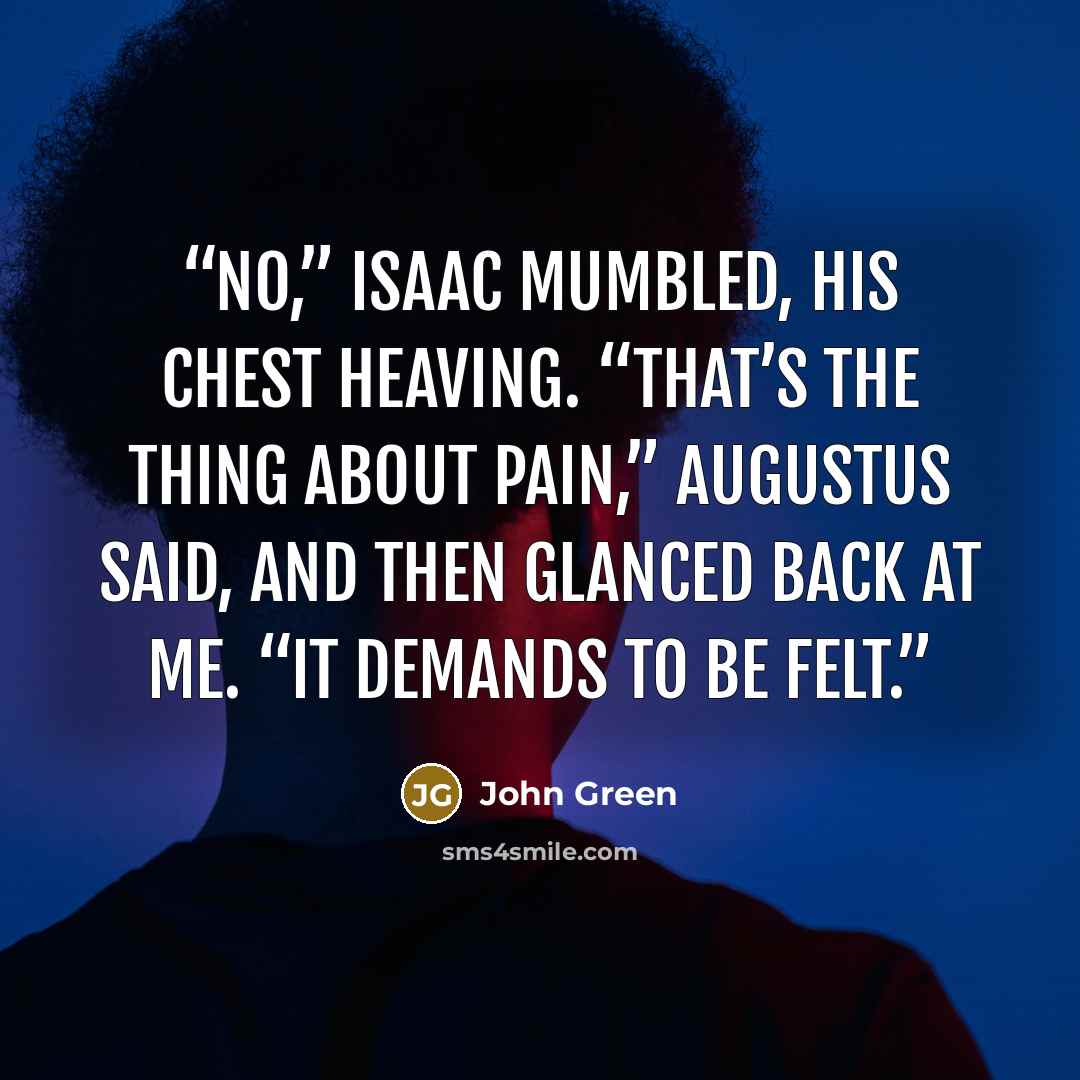 “No,” Isaac mumbled, his chest heaving. “That’s the thing about pain,” Augustus said, and then glanced back at me. “It demands to be felt.” quote by John Green
