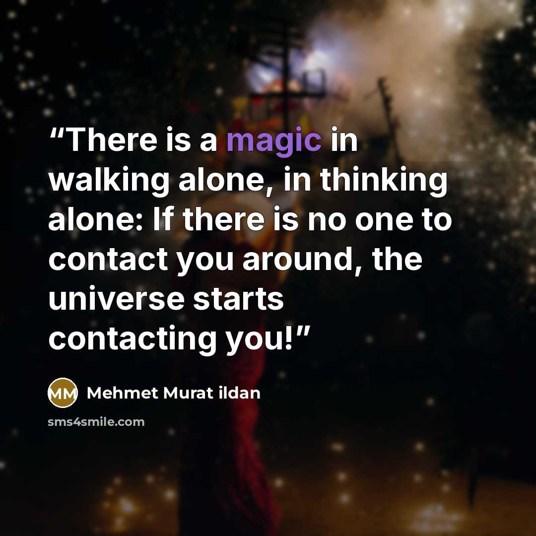 “There is a magic in walking alone, in thinking alone: If there is no one to contact you around, the universe starts contacting you!” quote by Mehmet Murat ildan