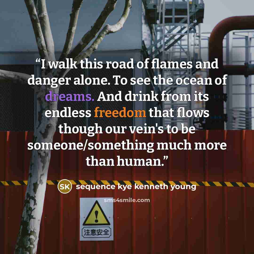 “I walk this road of flames and danger alone. To see the ocean of dreams. And drink from its endless freedom that flows though our vein's to be someone/something much more than human.” quote by sequence kye kenneth young