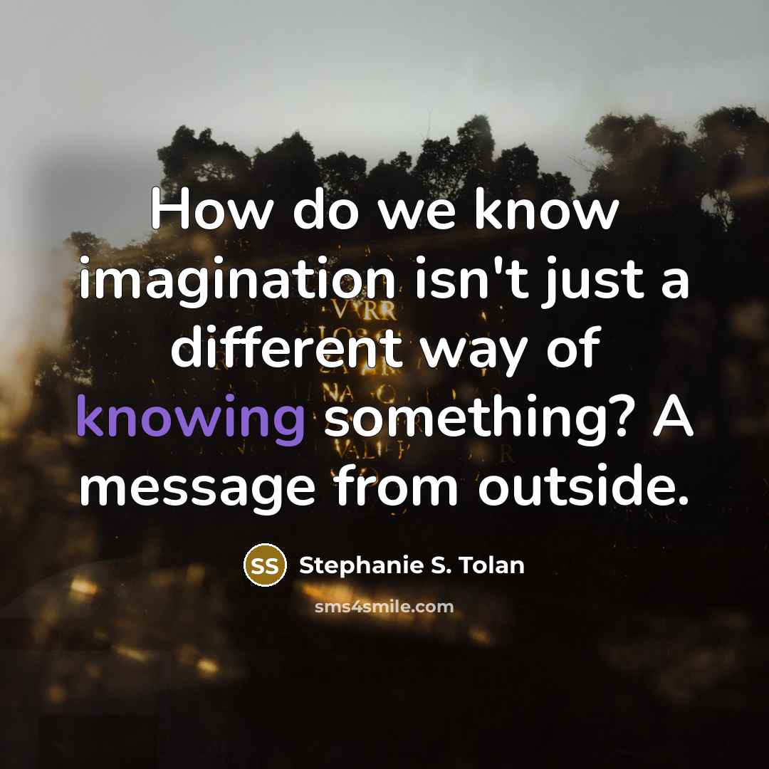 “How do we know imagination isn't just a different way of knowing something? A message from outside.” quote by Stephanie S. Tolan