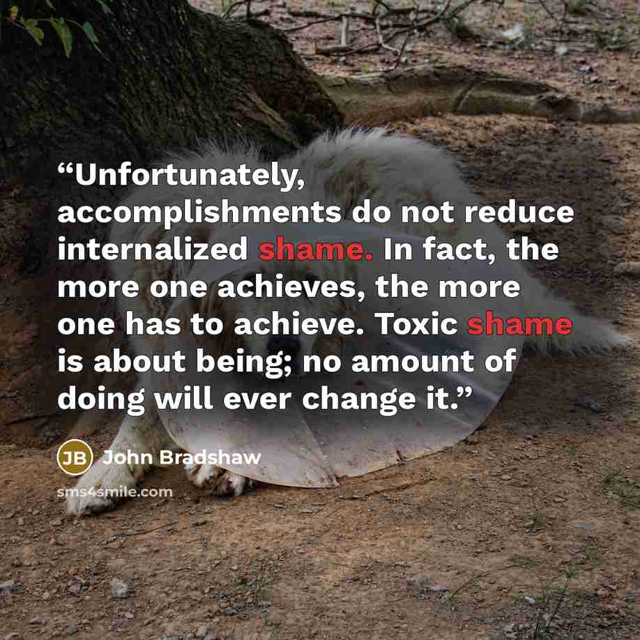 “Unfortunately, accomplishments do not reduce internalized shame. In fact, the more one achieves, the more one has to achieve. Toxic shame is about being; no amount of doing will ever change it.” quote by John Bradshaw