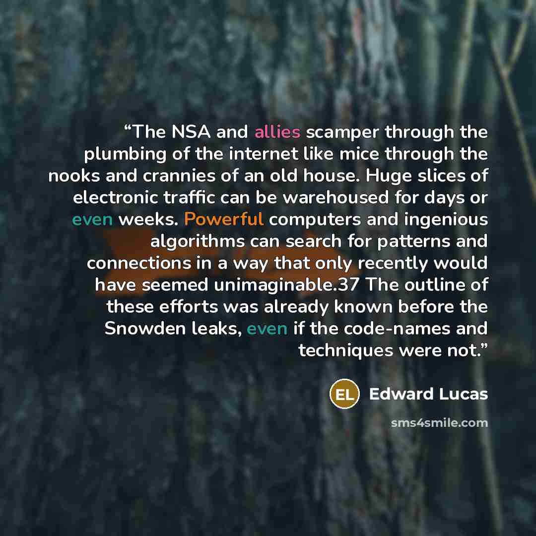 “The NSA and allies scamper through the plumbing of the internet like mice through the nooks and crannies of an old house. Huge slices of electronic traffic can be warehoused for days or even weeks. Powerful computers and ingenious algorithms can search for patterns and connections in a way that…” quote by Edward Lucas