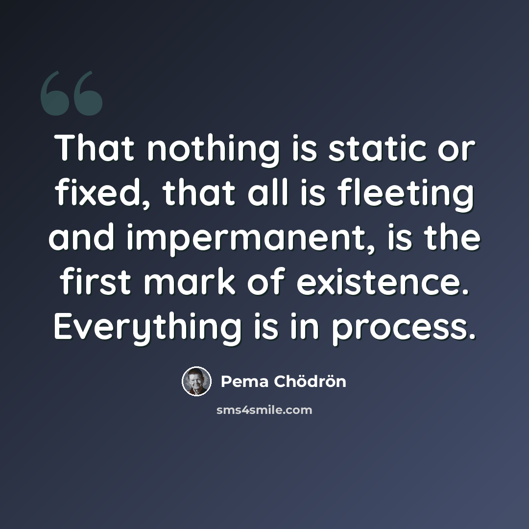 “That nothing is static or fixed, that all is fleeting and impermanent, is the first mark of existence. Everything is in process.” quote by Pema Chodron