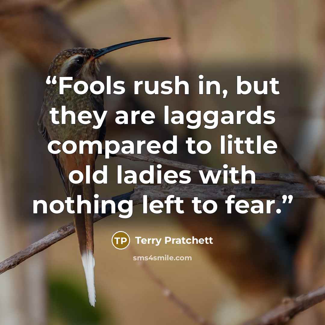 “Fools rush in, but they are laggards compared to little old ladies with nothing left to fear.” quote by Terry Pratchett