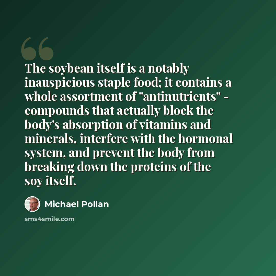 “The soybean itself is a notably inauspicious staple food; it contains a whole assortment of "antinutrients" - compounds that actually block the body's absorption of vitamins and minerals, interfere with the hormonal system, and prevent the body from breaking down the proteins of the soy itself.” quote by Michael Pollan