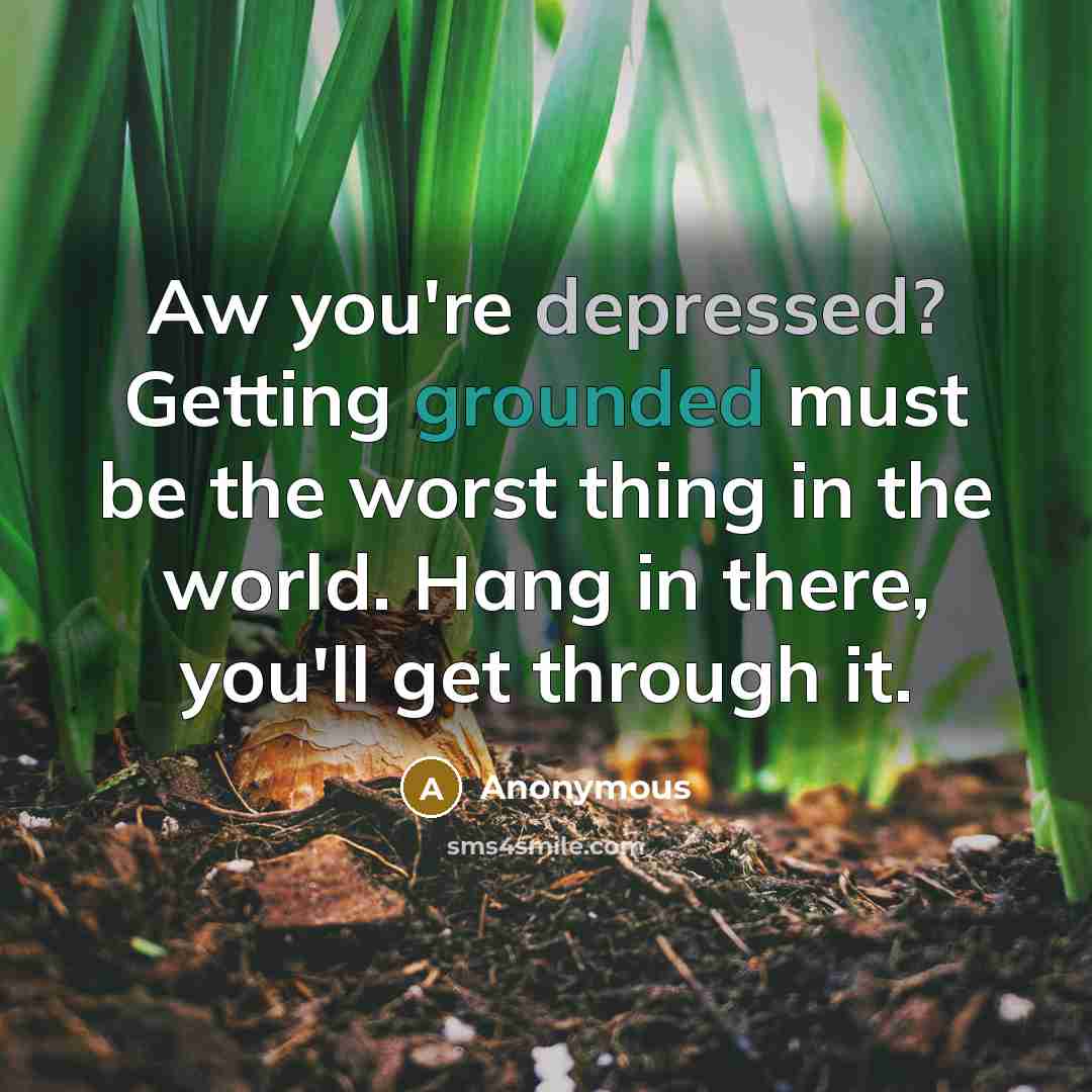“Aw you're depressed? Getting grounded must be the worst thing in the world. Hang in there, you'll get through it.” quote by Anonymous