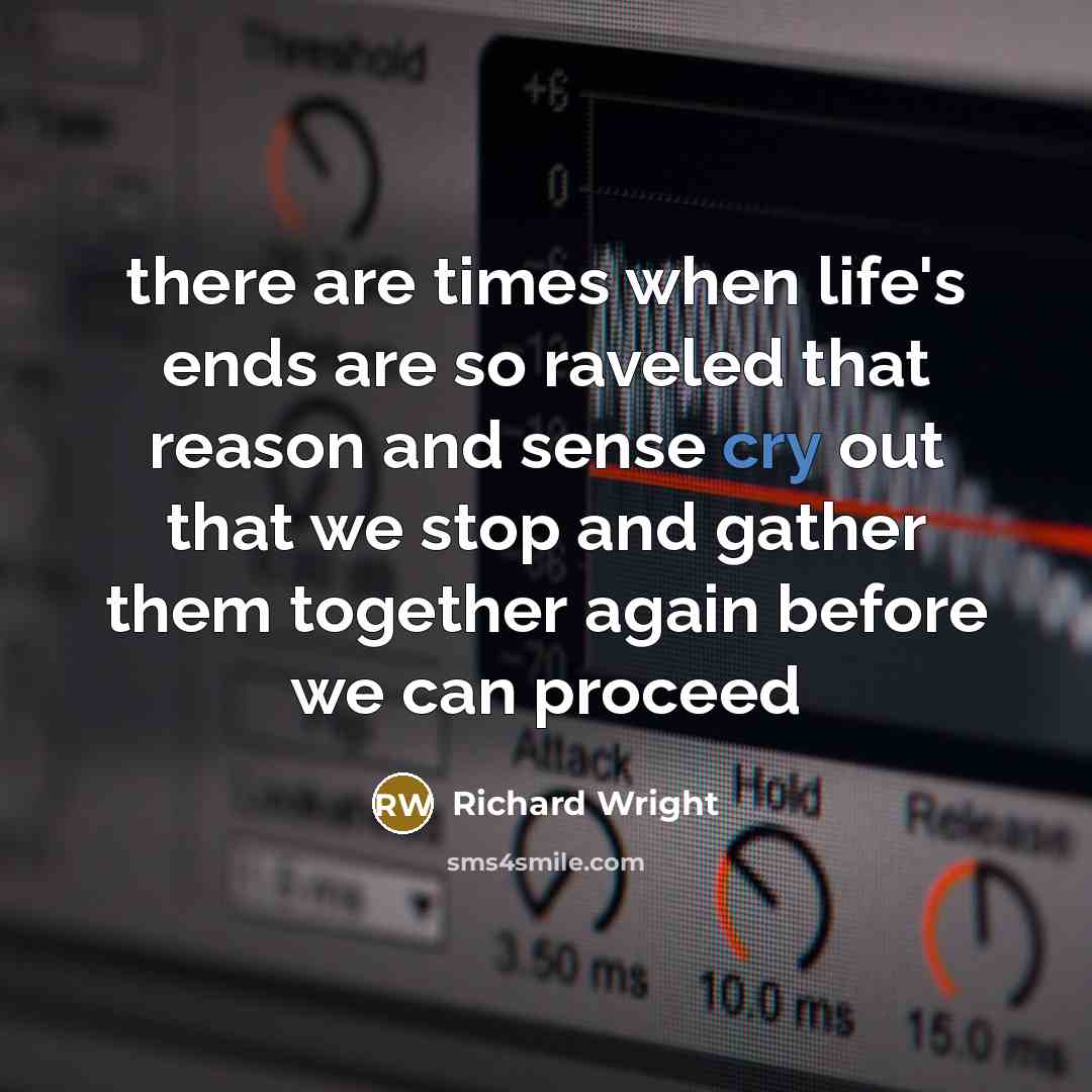 “there are times when life's ends are so raveled that reason and sense cry out that we stop and gather them together again before we can proceed” quote by Richard Wright