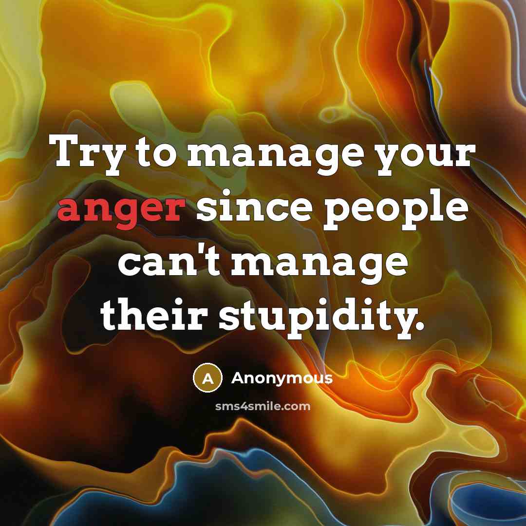 “Try to manage your anger since people can't manage their stupidity.” quote by Anonymous