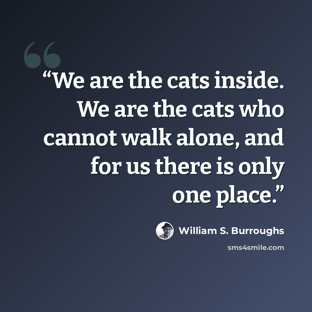 “We are the cats inside. We are the cats who cannot walk alone, and for us there is only one place.” quote by William S. Burroughs
