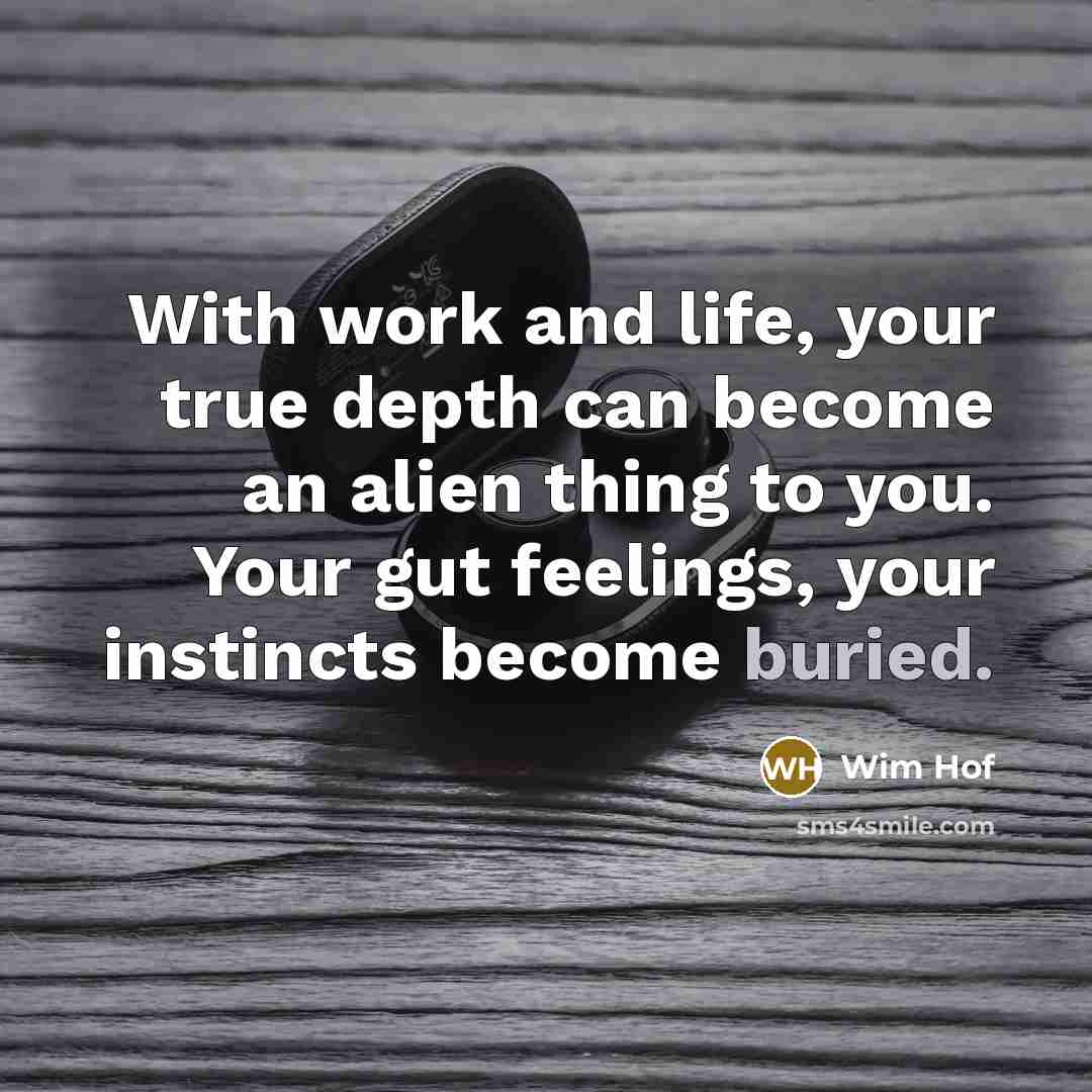 “With work and life, your true depth can become an alien thing to you. Your gut feelings, your instincts become buried.” quote by Wim Hof