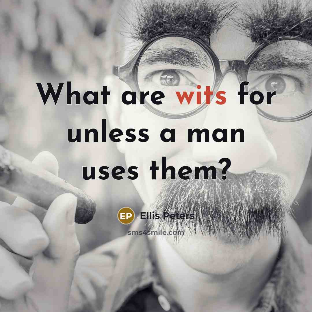 “What are wits for unless a man uses them?” quote by Ellis Peters