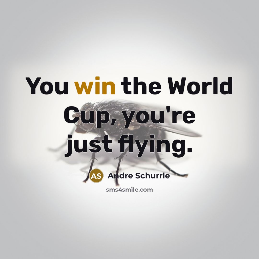 “You win the World Cup, you're just flying.” quote by Andre Schurrle