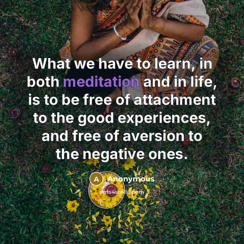 “What we have to learn, in both meditation and in life, is to be free of attachment to the good experiences, and free of aversion to the negative ones.” quote by Anonymous
