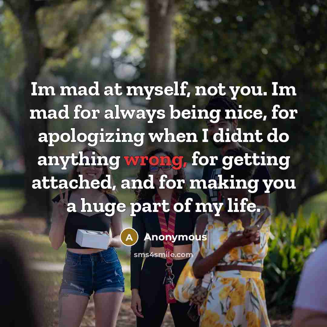 “Im mad at myself, not you. Im mad for always being nice, for apologizing when I didnt do anything wrong, for getting attached, and for making you a huge part of my life.” quote by Anonymous