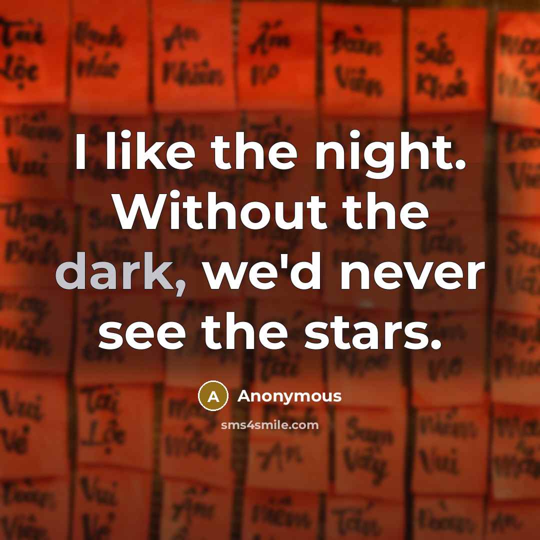 “I like the night. Without the dark, we'd never see the stars.” quote by Anonymous