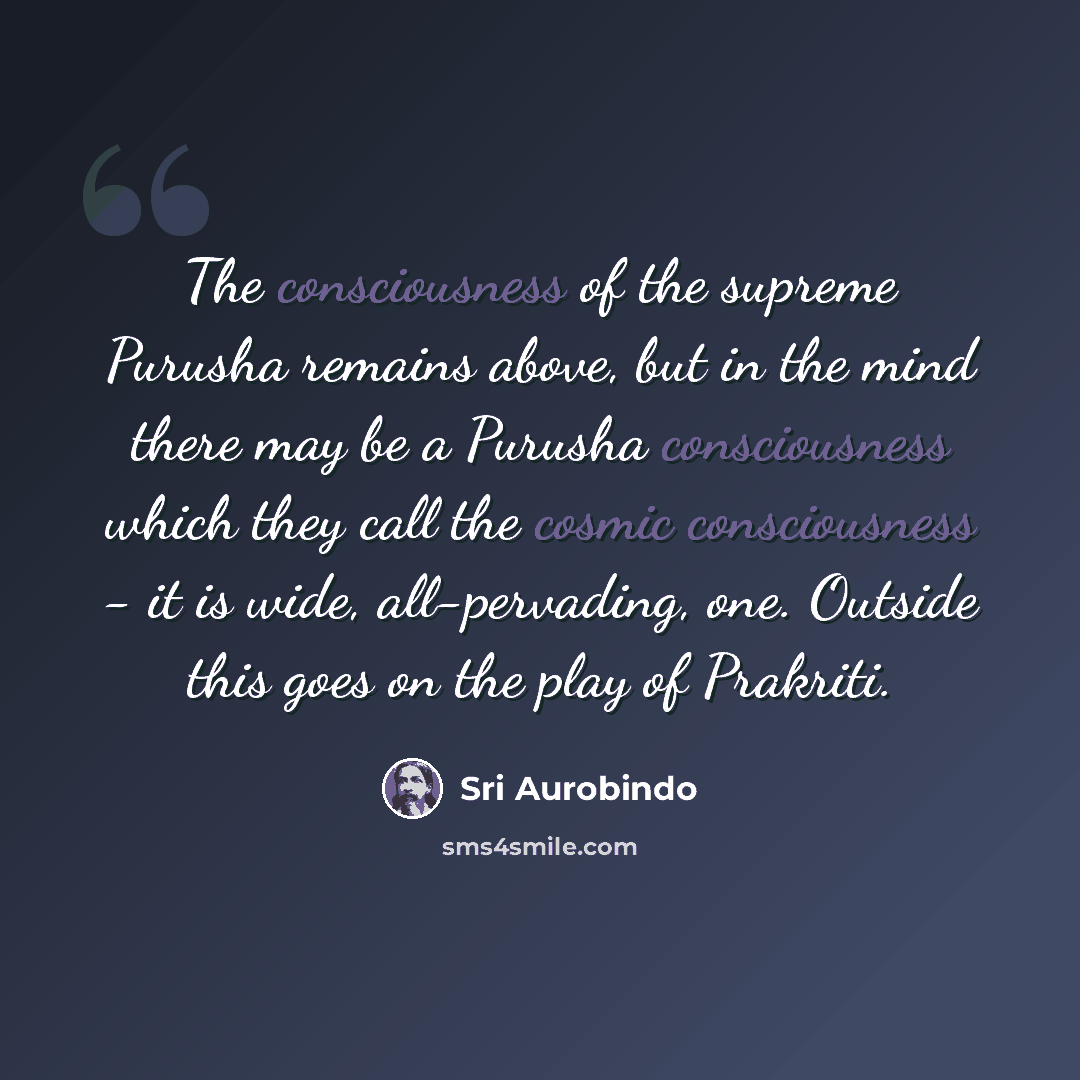 “The consciousness of the supreme Purusha remains above, but in the mind there may be a Purusha consciousness which they call the cosmic consciousness - it is wide, all-pervading, one. Outside this goes on the play of Prakriti.” quote by Sri Aurobindo