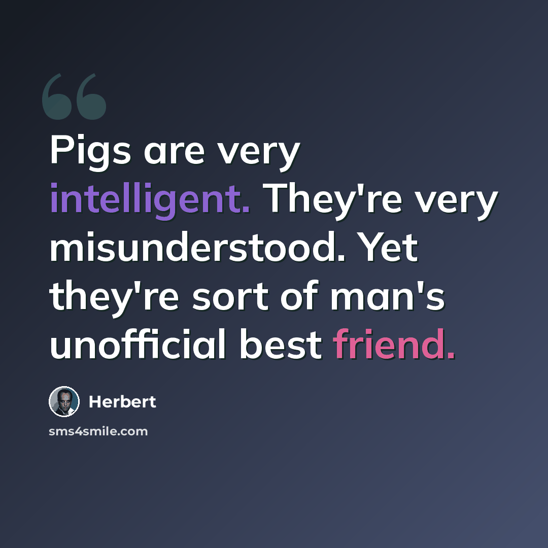 “Pigs are very intelligent. They're very misunderstood. Yet they're sort of man's unofficial best friend.” quote by Herbert
