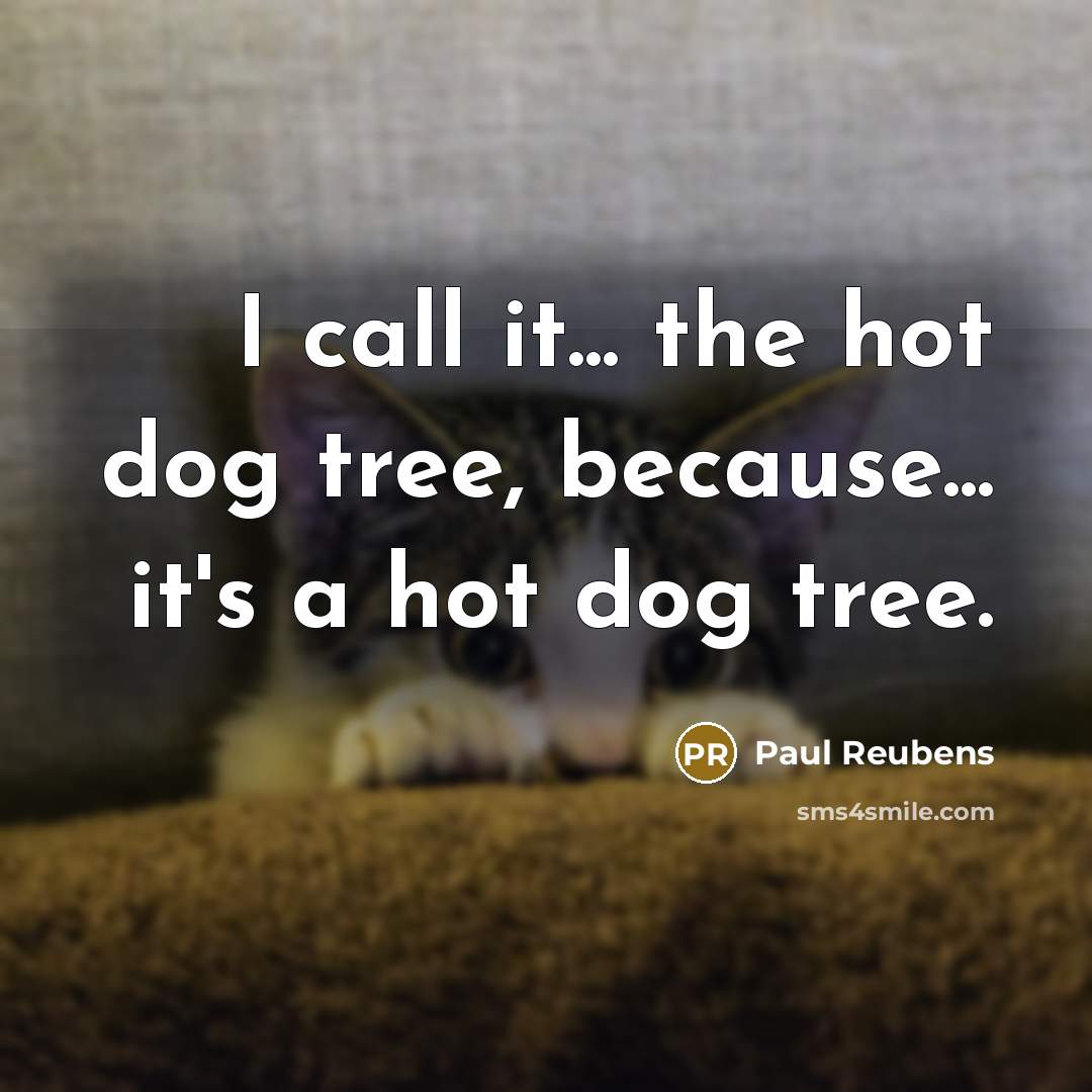 “I call it... the hot dog tree, because... it's a hot dog tree.” quote by Paul Reubens