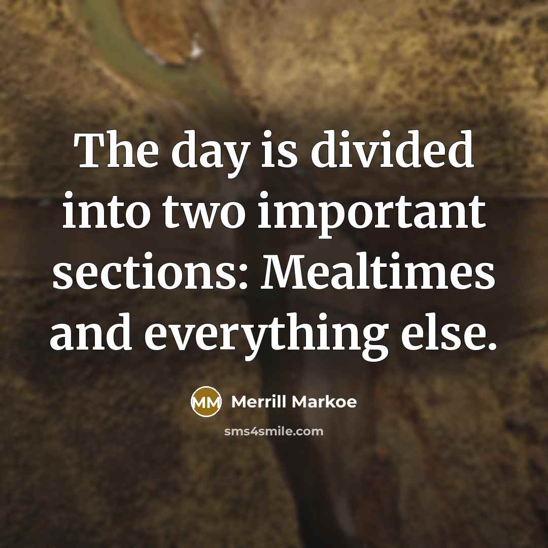 “The day is divided into two important sections: Mealtimes and everything else.” quote by Merrill Markoe