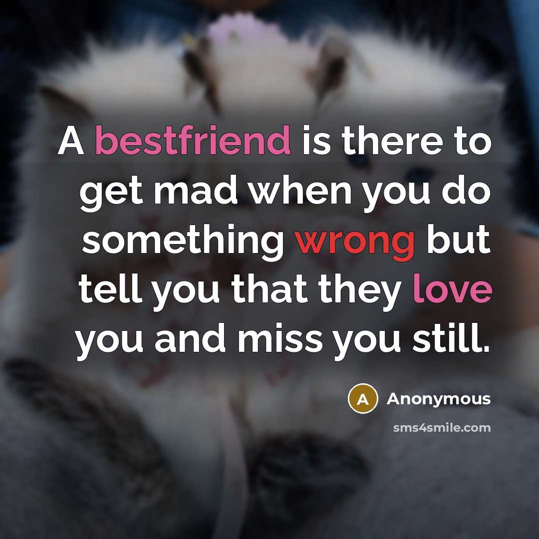 “A bestfriend is there to get mad when you do something wrong but tell you that they love you and miss you still.” quote by Anonymous