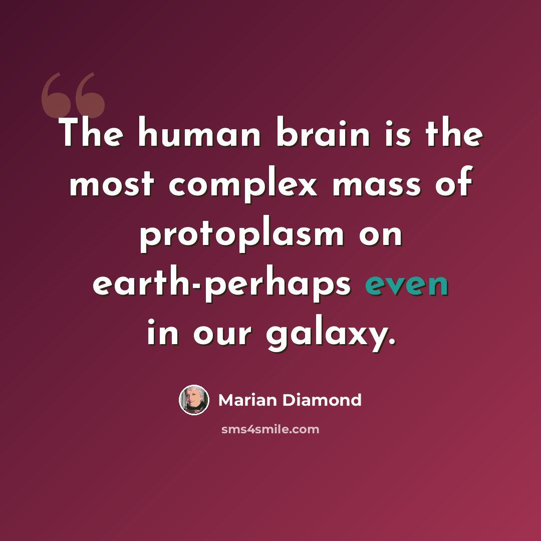 “The human brain is the most complex mass of protoplasm on earth-perhaps even in our galaxy.” quote by Marian Diamond