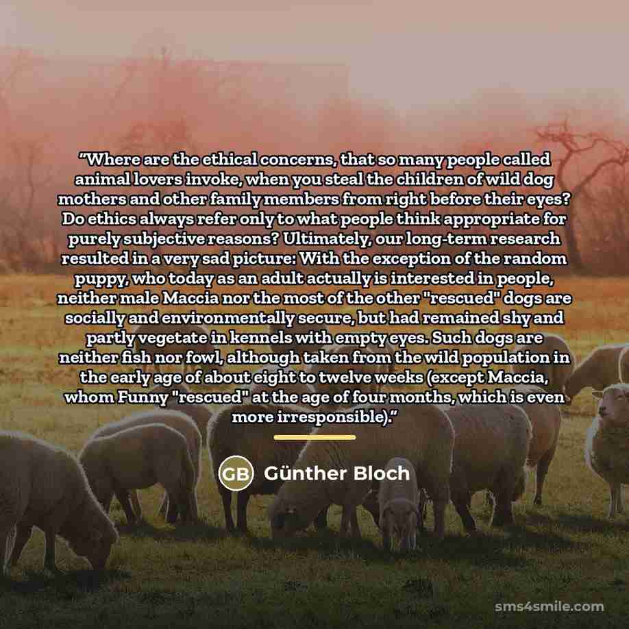 “Where are the ethical concerns, that so many people called animal lovers invoke, when you steal the children of wild dog mothers and other family members from right before their eyes? Do ethics always refer only to what people think appropriate for purely subjective reasons? Ultimately, our…” quote by Günther Bloch