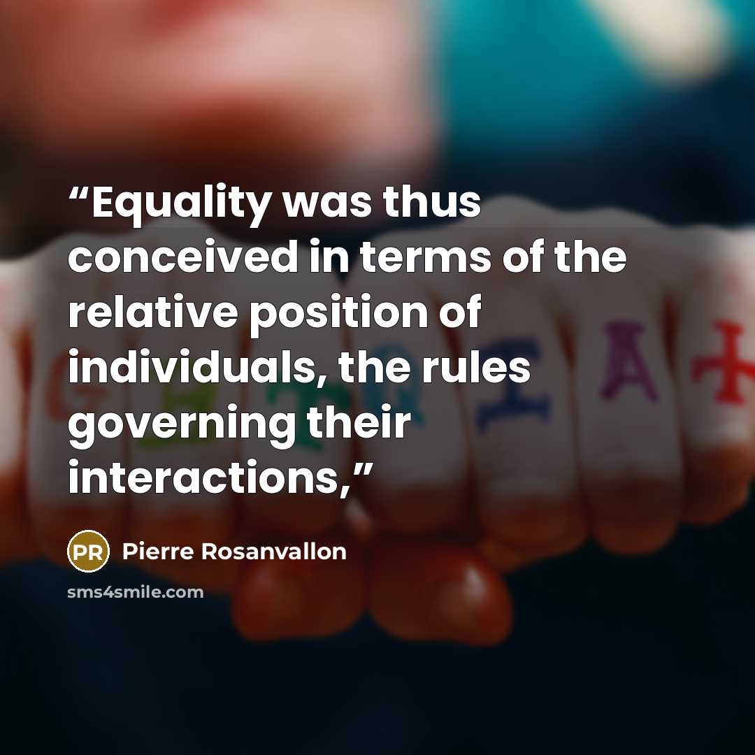 “Equality was thus conceived in terms of the relative position of individuals, the rules governing their interactions,” quote by Pierre Rosanvallon