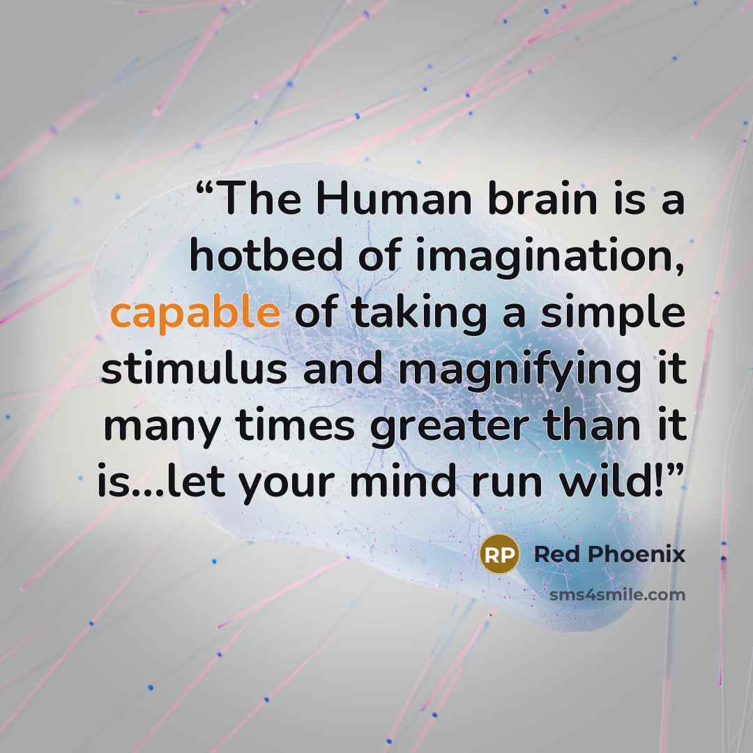 “The Human brain is a hotbed of imagination, capable of taking a simple stimulus and magnifying it many times greater than it is...let your mind run wild!” quote by Red Phoenix