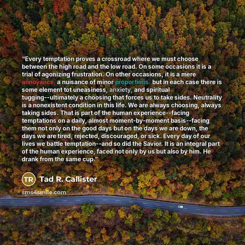 “Every temptation proves a crossroad where we must choose between the high road and the low road. On some occasions it is a trial of agonizing frustration. On other occasions, it is a mere annoyance, a nuisance of minor proportions. but in each case there is some element tot uneasiness, anxiety…” quote by Tad R. Callister