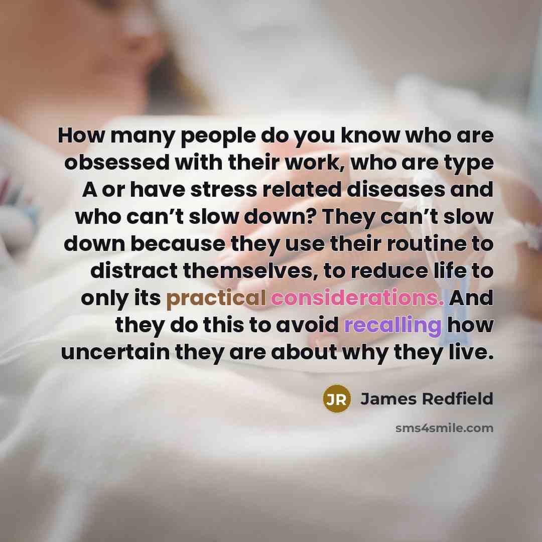 “How many people do you know who are obsessed with their work, who are type A or have stress related diseases and who can’t slow down? They can’t slow down because they use their routine to distract themselves, to reduce life to only its practical considerations. And they do this to avoid recalling…” quote by James Redfield