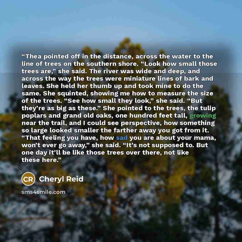 “Thea pointed off in the distance, across the water to the line of trees on the southern shore. “Look how small those trees are,” she said. The river was wide and deep, and across the way the trees were miniature lines of bark and leaves. She held her thumb up and took mine to do the same. She…” quote by Cheryl Reid