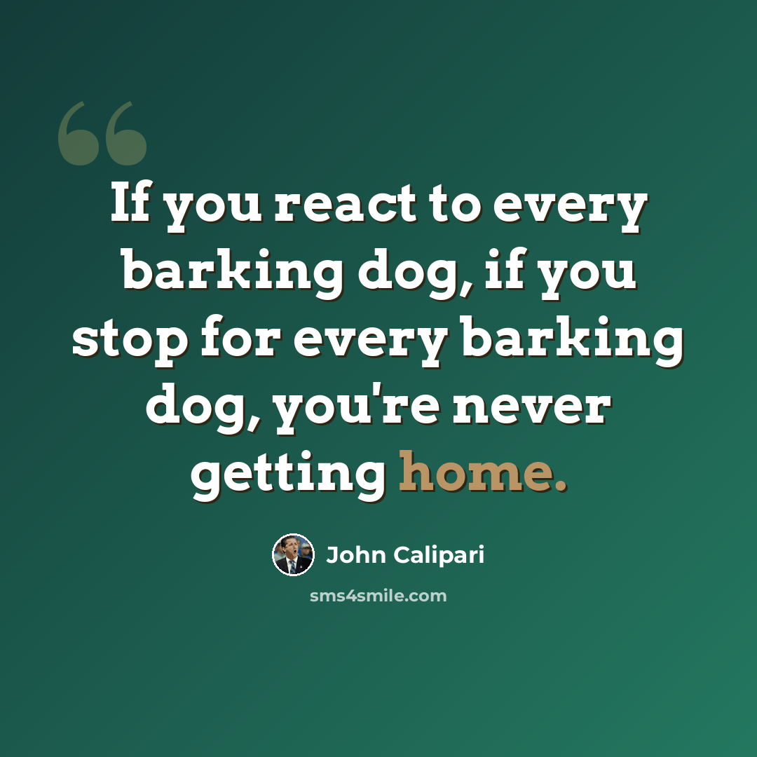 “If you react to every barking dog, if you stop for every barking dog, you're never getting home.” quote by John Calipari