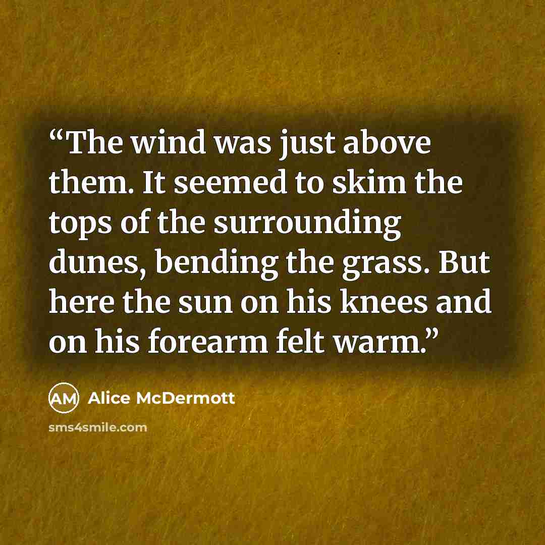 “The wind was just above them. It seemed to skim the tops of the surrounding dunes, bending the grass. But here the sun on his knees and on his forearm felt warm.” quote by Alice McDermott