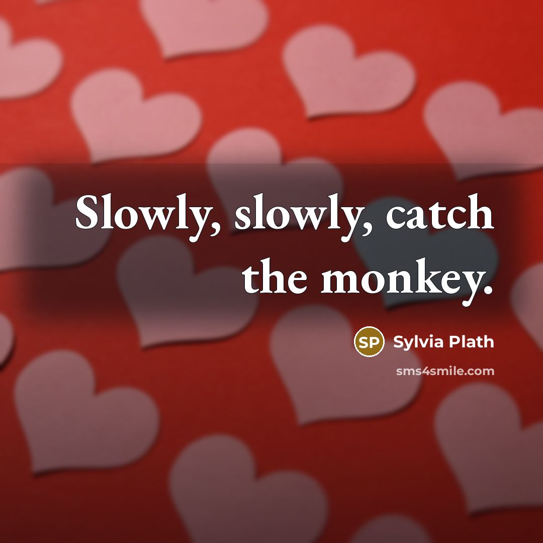 “Slowly, slowly, catch the monkey.” quote by Sylvia Plath