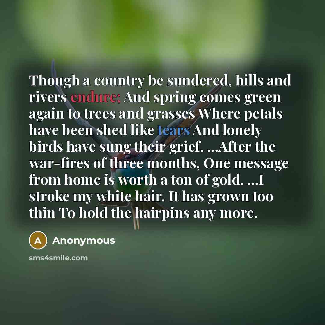 “Though a country be sundered, hills and rivers endure; And spring comes green again to trees and grasses Where petals have been shed like tears And lonely birds have sung their grief. ...After the war-fires of three months, One message from home is worth a ton of gold. ...I stroke my white hair…” quote by Anonymous