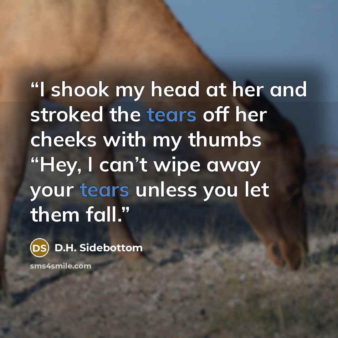 “I shook my head at her and stroked the tears off her cheeks with my thumbs “Hey, I can’t wipe away your tears unless you let them fall.” quote by D.H. Sidebottom