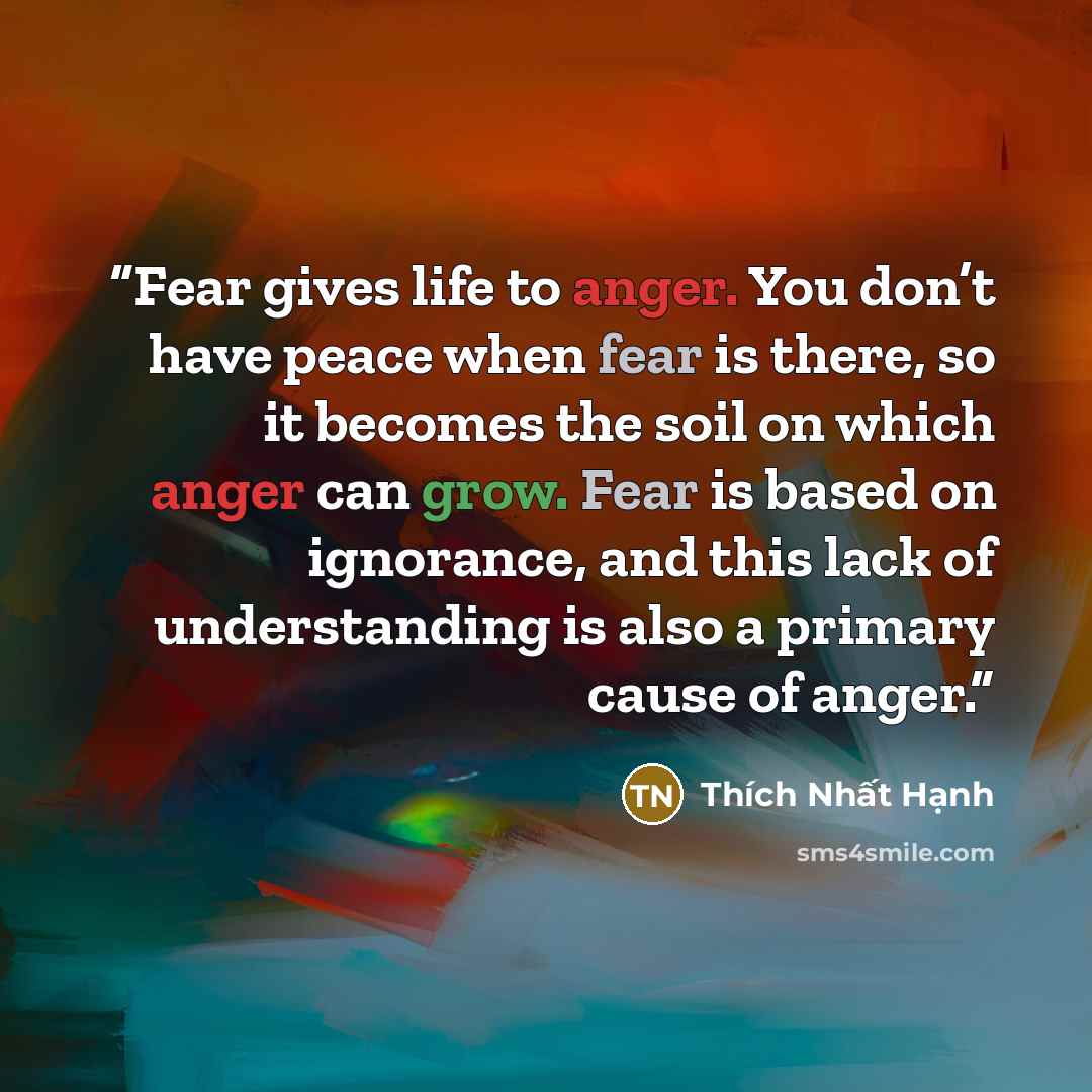 “Fear gives life to anger. You don’t have peace when fear is there, so it becomes the soil on which anger can grow. Fear is based on ignorance, and this lack of understanding is also a primary cause of anger.” quote by Thich Nhat Hanh