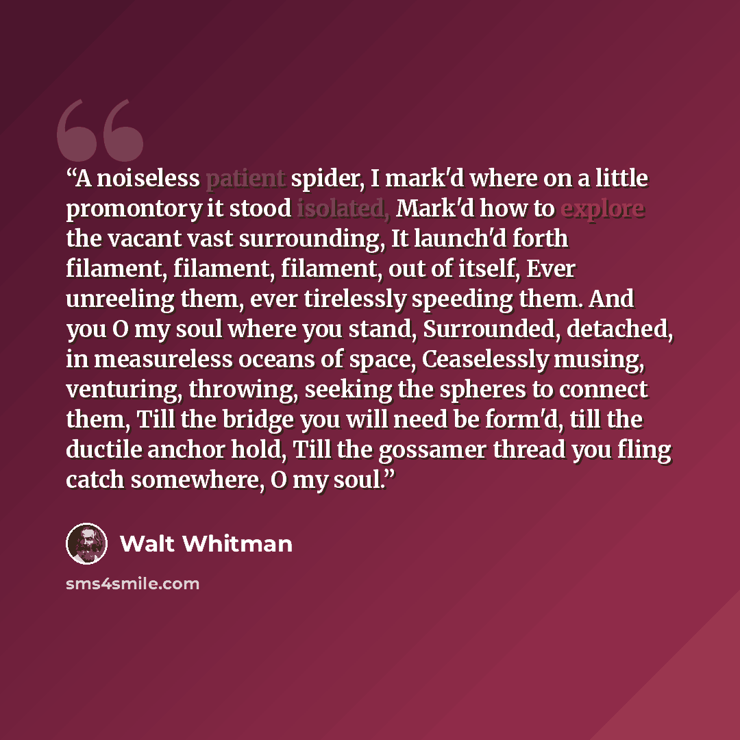 “A noiseless patient spider, I mark'd where on a little promontory it stood isolated, Mark'd how to explore the vacant vast surrounding, It launch'd forth filament, filament, filament, out of itself, Ever unreeling them, ever tirelessly speeding them. And you O my soul where you stand, Surrounded…” quote by Walt Whitman