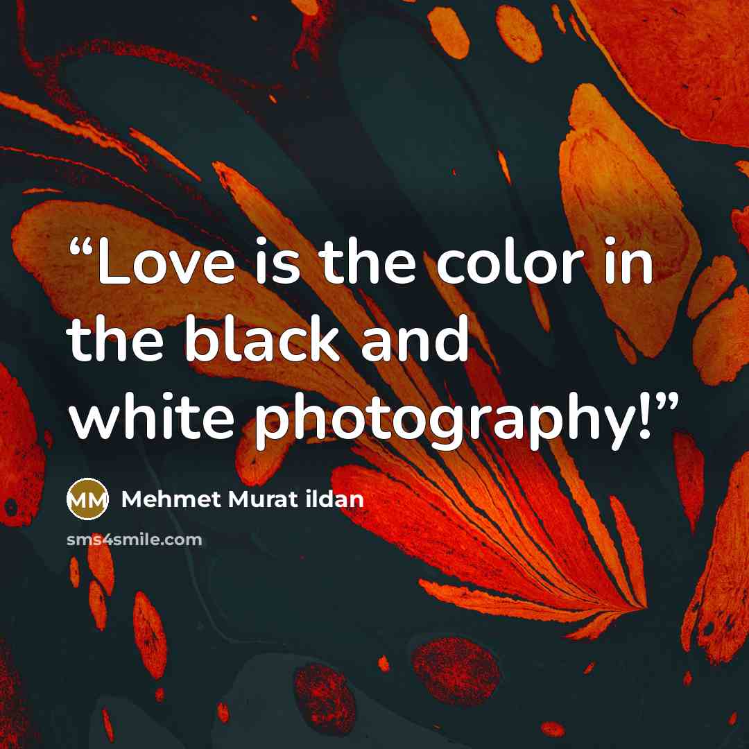 “Love is the color in the black and white photography!” quote by Mehmet Murat ildan