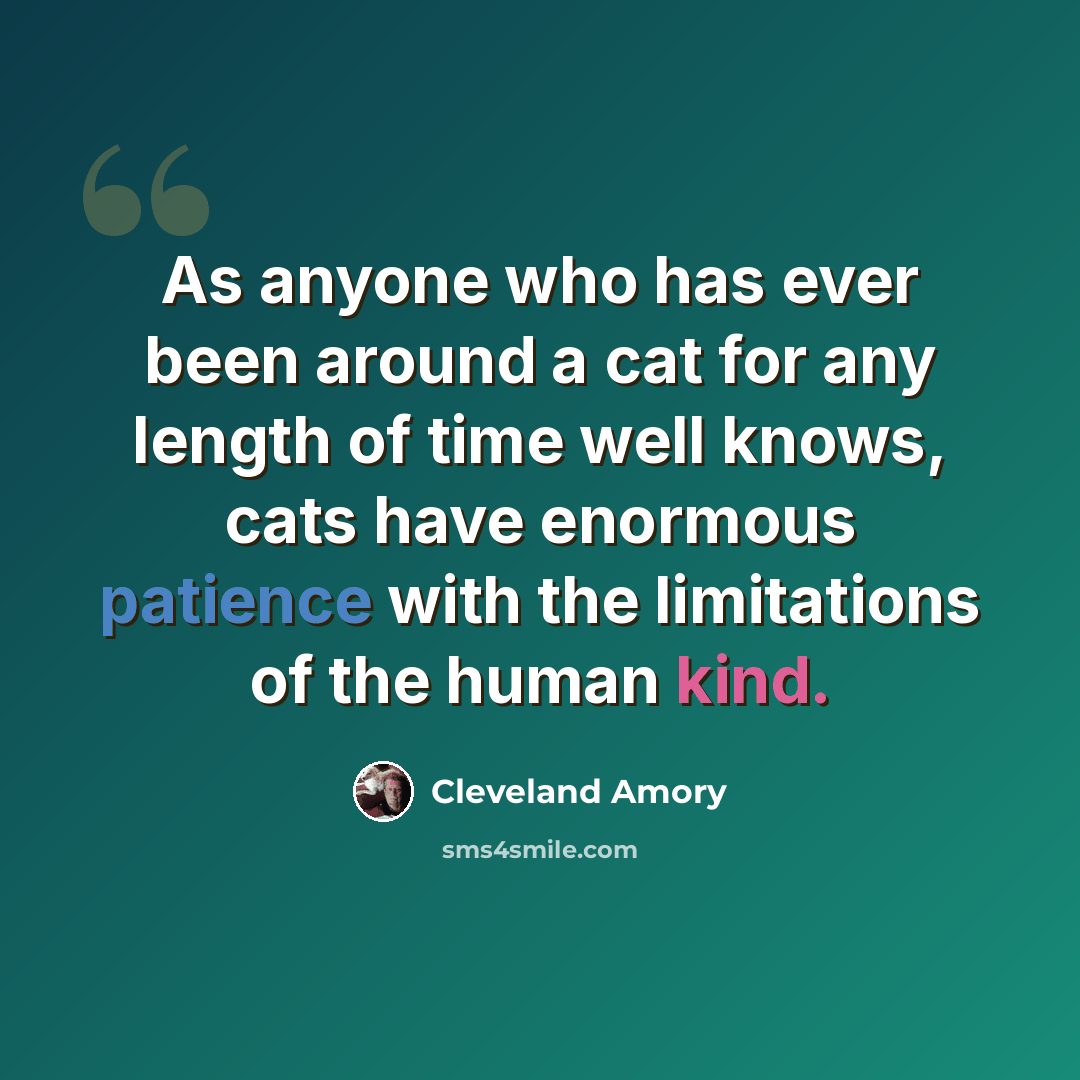 “As anyone who has ever been around a cat for any length of time well knows, cats have enormous patience with the limitations of the human kind.” quote by Cleveland Amory
