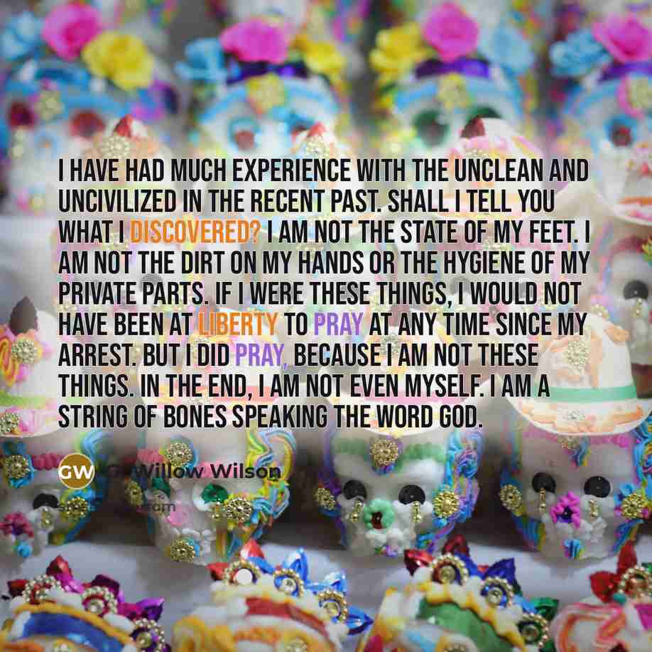 “I have had much experience with the unclean and uncivilized in the recent past. Shall I tell you what I discovered? I am not the state of my feet. I am not the dirt on my hands or the hygiene of my private parts. If I were these things, I would not have been at liberty to pray at any time since my…” quote by G. Willow Wilson
