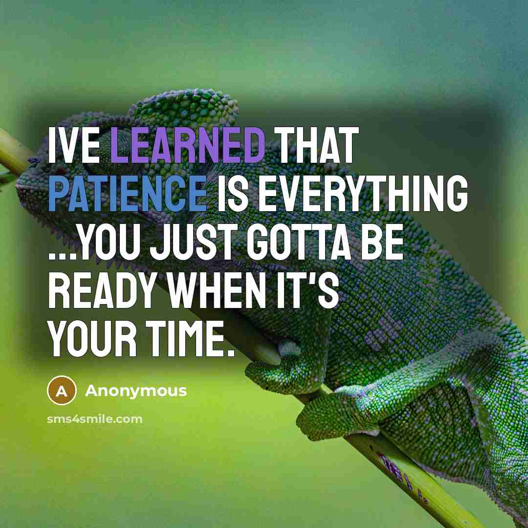 “Ive learned that patience is everything ...you just gotta be ready when it's your time.” quote by Anonymous