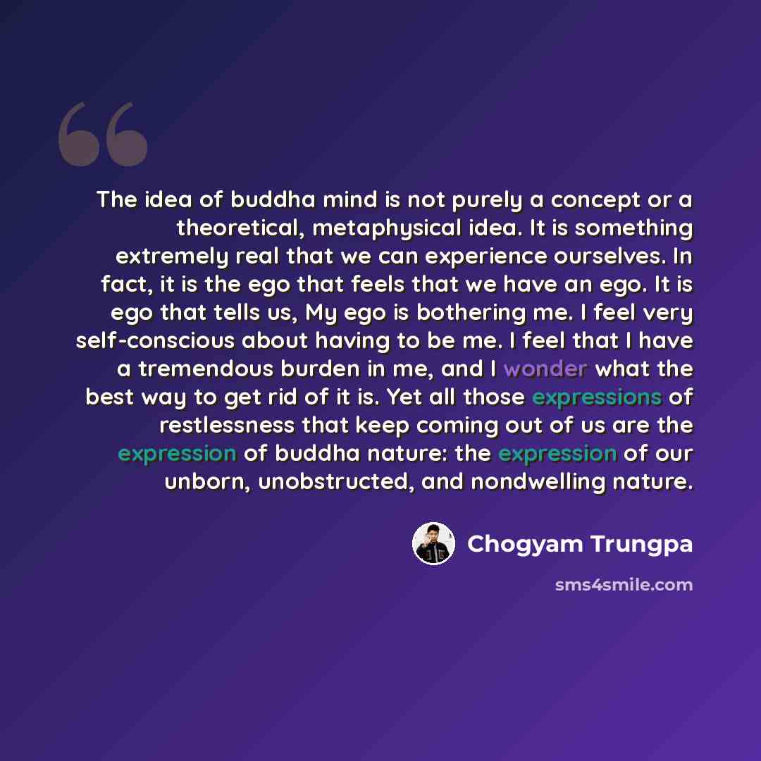 “The idea of buddha mind is not purely a concept or a theoretical, metaphysical idea. It is something extremely real that we can experience ourselves. In fact, it is the ego that feels that we have an ego. It is ego that tells us, My ego is bothering me. I feel very self-conscious about having to…” quote by Chogyam Trungpa