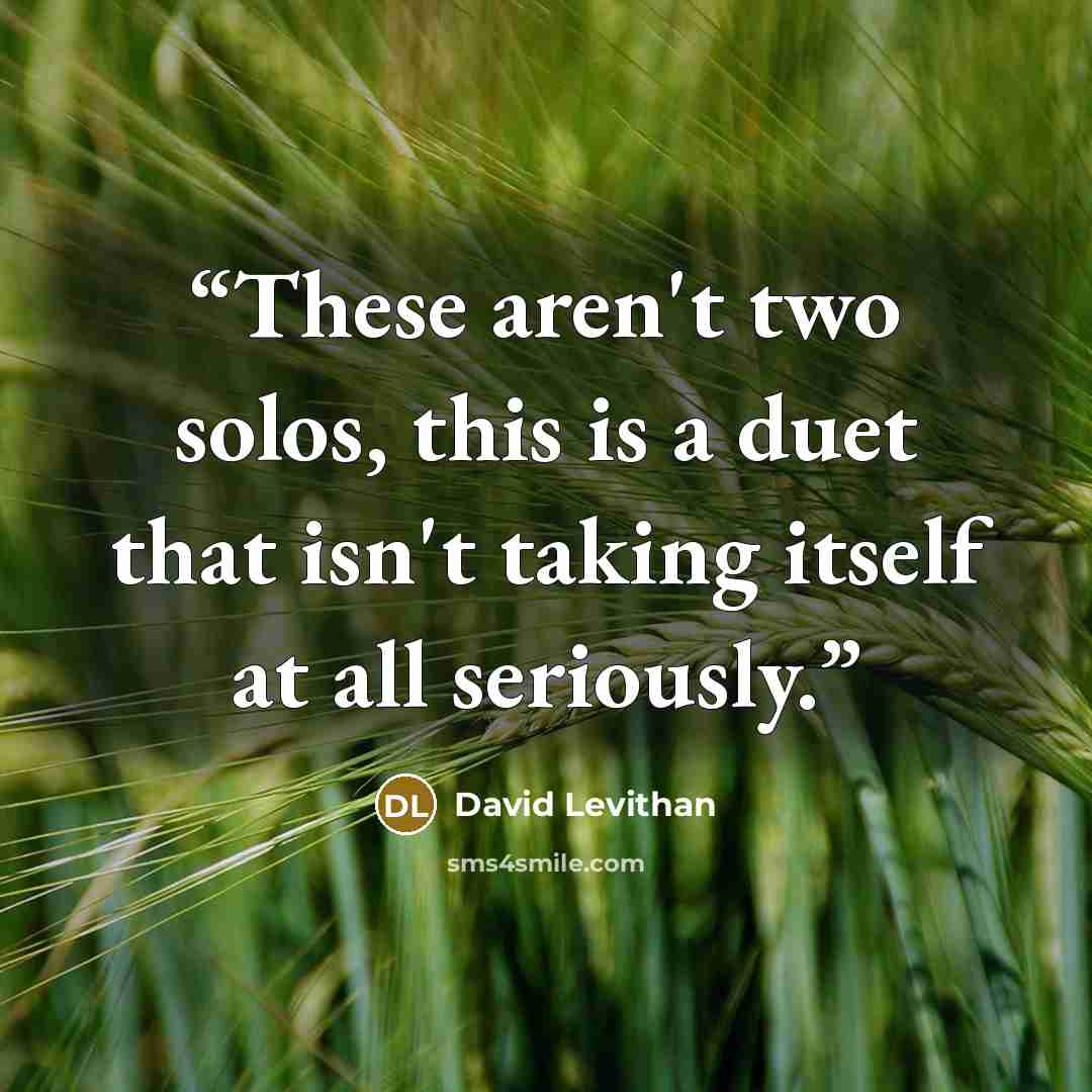 “These aren't two solos, this is a duet that isn't taking itself at all seriously.” quote by David Levithan